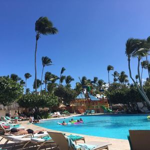 Meet your Posher, Liping